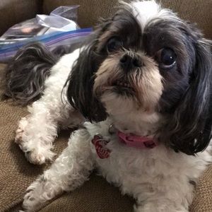 Meet your Posher, Meg